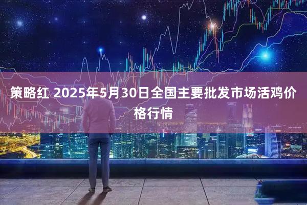 策略红 2025年5月30日全国主要批发市场活鸡价格行情