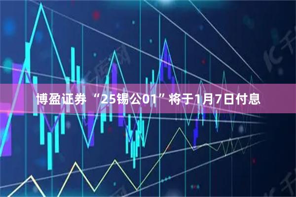 博盈证券 “25锡公01”将于1月7日付息